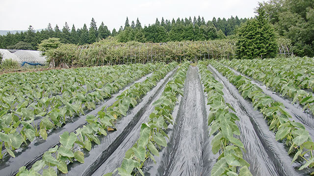 製品紹介｜岩谷マテリアル